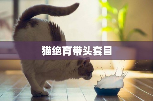 貓絕育帶頭套目