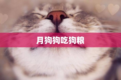 月狗狗吃狗糧