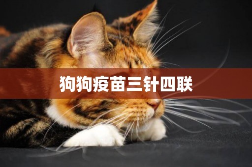狗狗疫苗三針四聯