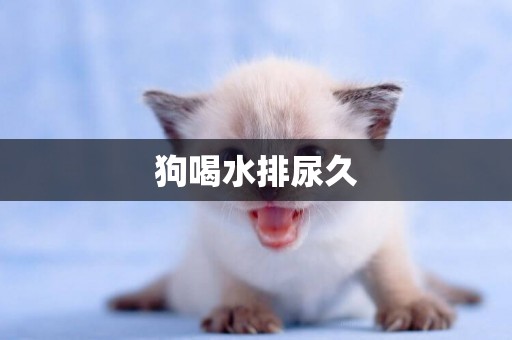狗喝水排尿久