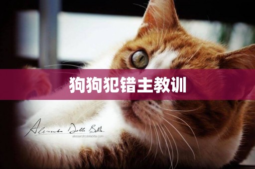 狗狗犯錯主教訓