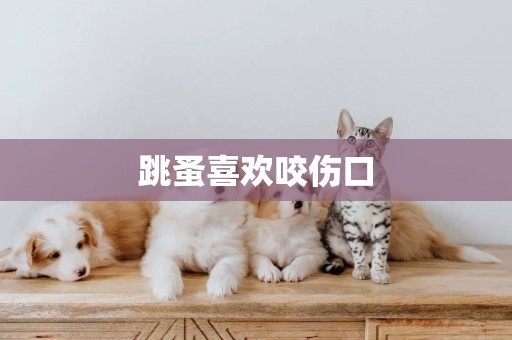 跳蚤喜歡咬傷口