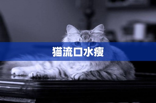 貓流口水瘦