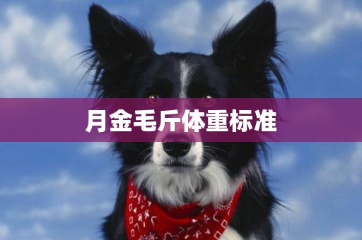 月金毛斤體重標準