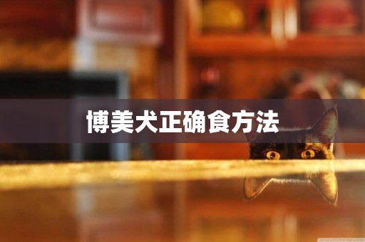 博美犬正確食方法