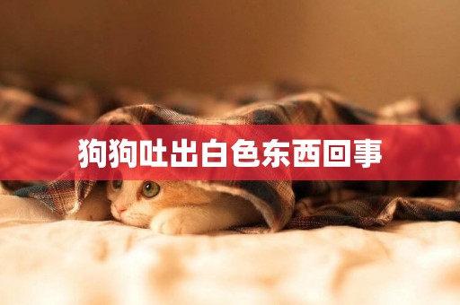 狗狗吐出白色東西回事