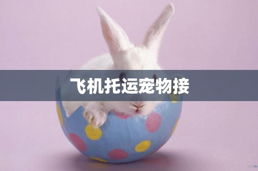 飛機托運寵物接