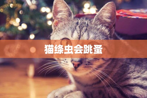 貓絳蟲會跳蚤