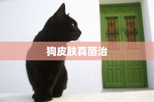 狗皮膚真菌治