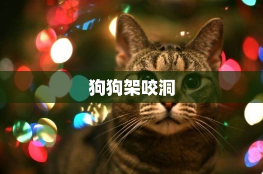 狗狗架咬洞