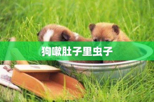 狗嗽肚子里蟲子