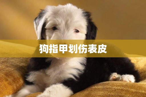 狗指甲劃傷表皮