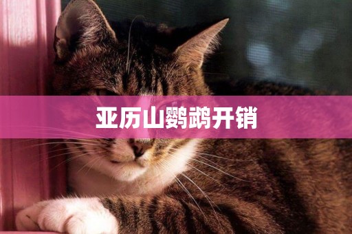 亞歷山鸚鵡開銷