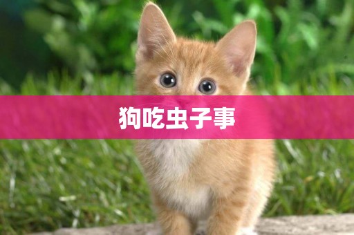 狗吃蟲子事
