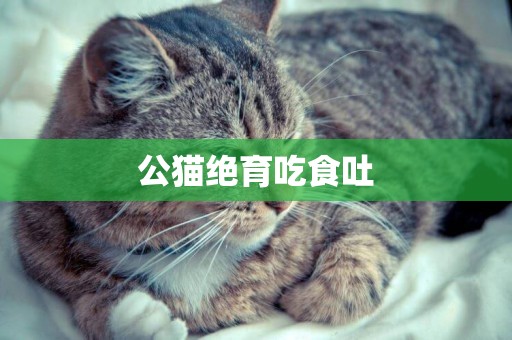 公貓絕育吃食吐