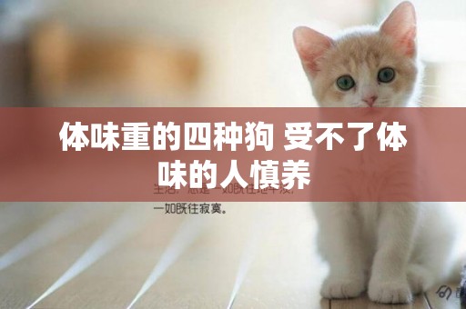 體味重的四種狗 受不了體味的人慎養