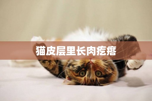 貓皮層里長肉疙瘩