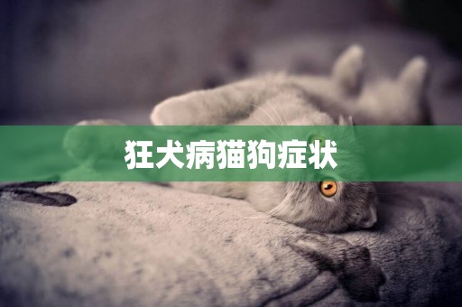 狂犬病貓狗癥狀