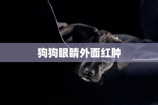 狗狗眼睛外面紅腫