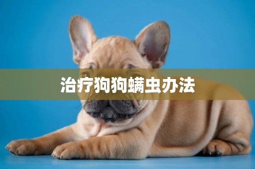 治療狗狗螨蟲辦法