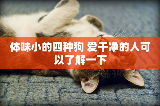 體味小的四種狗 愛干凈的人可以了解一下