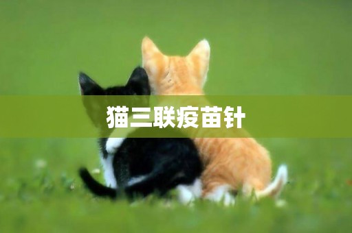 貓三聯疫苗針