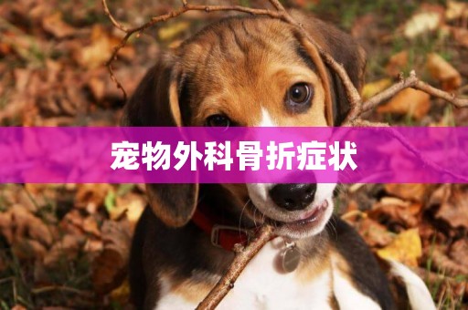 寵物外科骨折癥狀