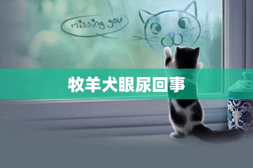 牧羊犬眼尿回事