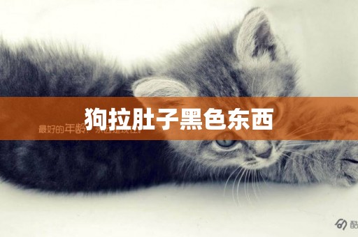 狗拉肚子黑色東西