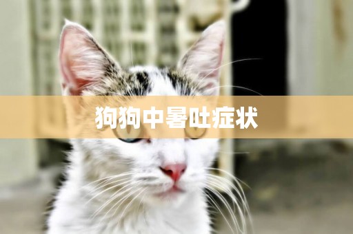 狗狗中暑吐癥狀