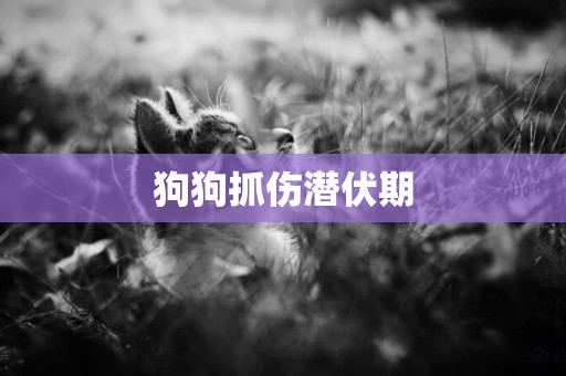 狗狗抓傷潛伏期