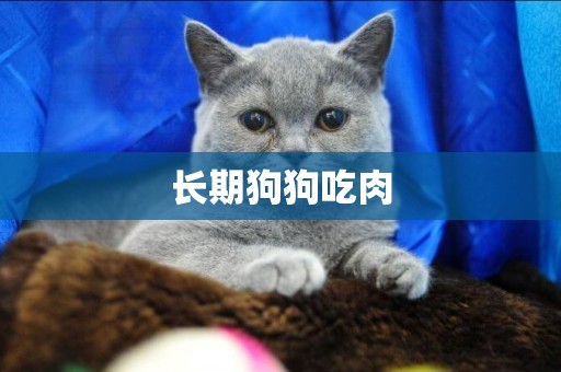長期狗狗吃肉