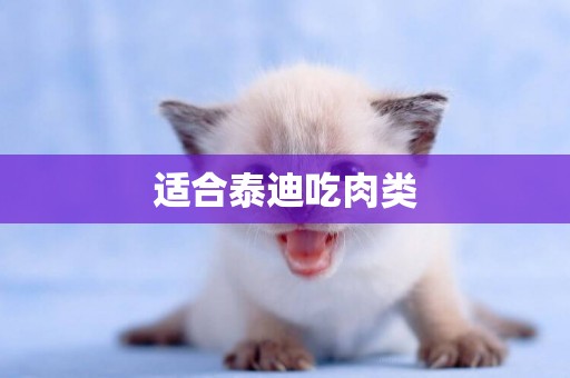 適合泰迪吃肉類