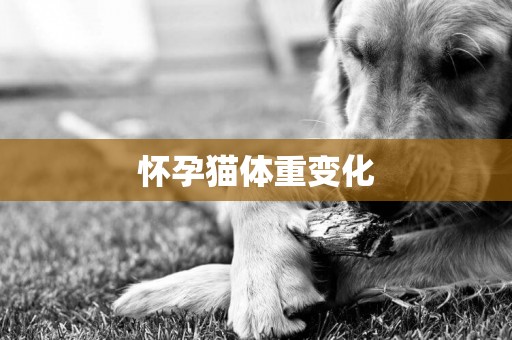 懷孕貓體重變化