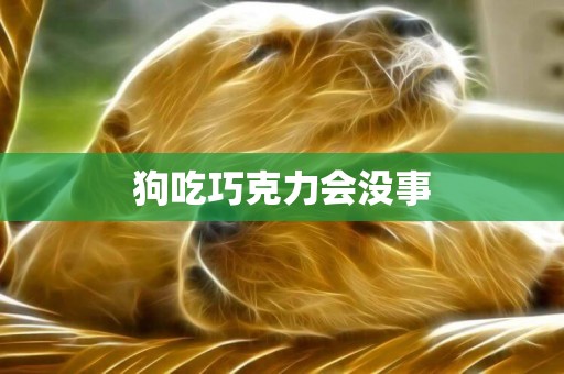 狗吃巧克力會沒事