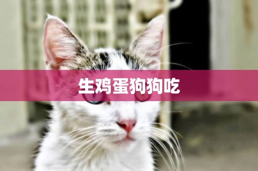 生雞蛋狗狗吃