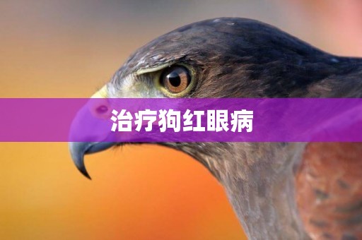 治療狗紅眼病