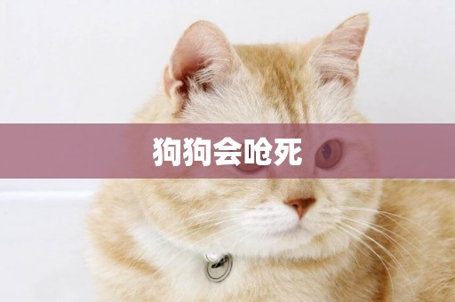 狗狗會嗆死