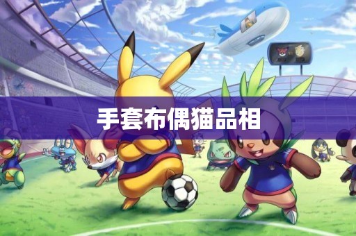 手套布偶貓品相