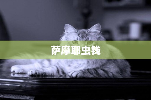 薩摩耶蟲錢