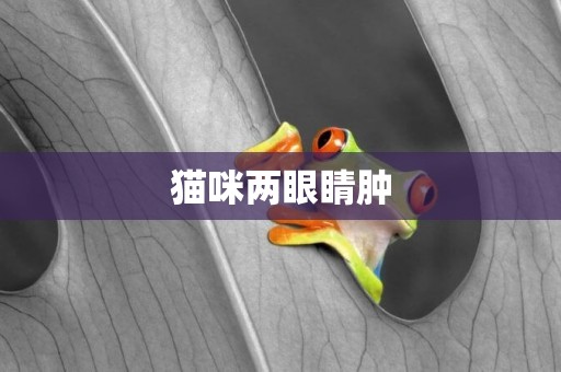 貓咪兩眼睛腫