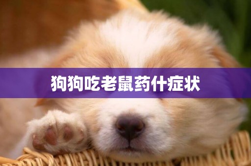 狗狗吃老鼠藥什癥狀