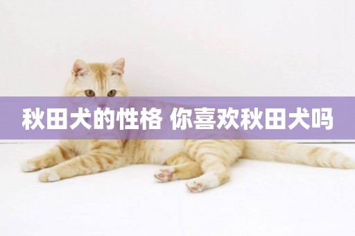 秋田犬的性格 你喜歡秋田犬嗎
