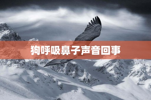 狗呼吸鼻子聲音回事