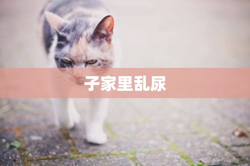子家里亂尿