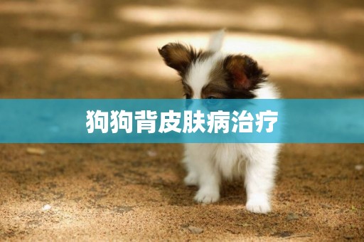 狗狗背皮膚病治療
