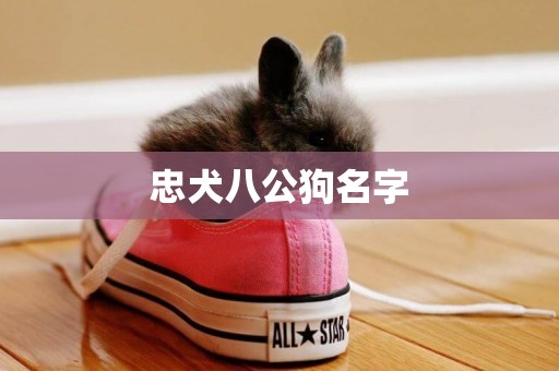 忠犬八公狗名字