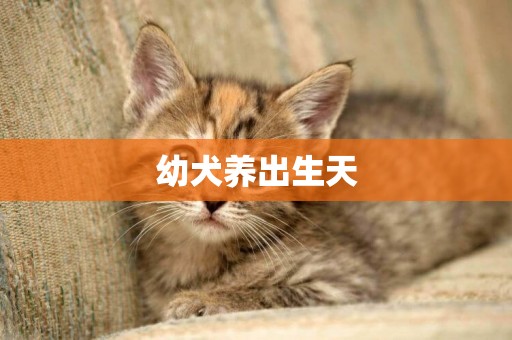 幼犬養出生天