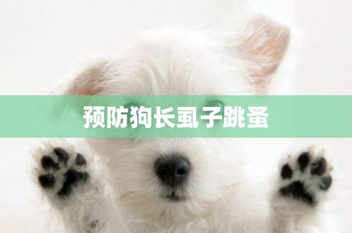 預防狗長虱子跳蚤