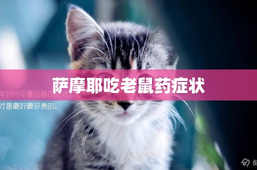 薩摩耶吃老鼠藥癥狀